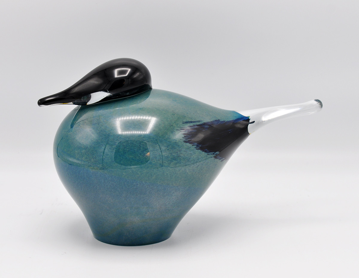 Loranto + Blue Jay, vogel small